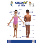 WALL CHART - MY BODY - MARLIN
